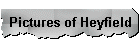 Pictures of Heyfield
