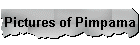 Pictures of Pimpama